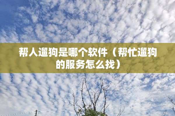 帮人遛狗是哪个软件（帮忙遛狗的服务怎么找）