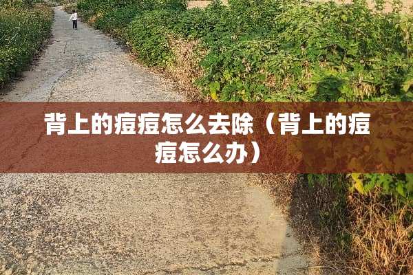 背上的痘痘怎么去除（背上的痘痘怎么办）