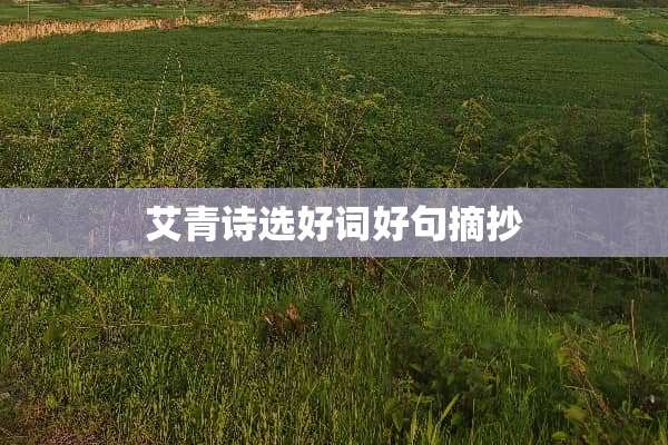 艾青诗选好词好句摘抄