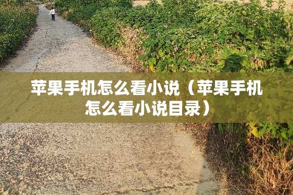 苹果手机怎么看小说（苹果手机怎么看小说目录）