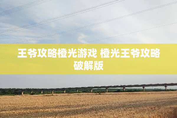 **攻略橙光游戏 橙光**攻略**版
