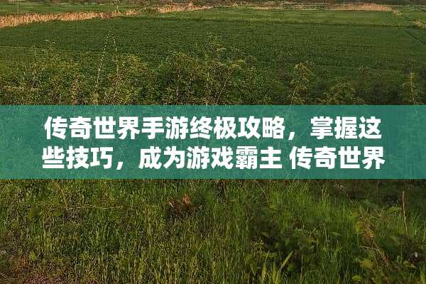 传奇世界手游终极攻略，掌握这些技巧，成为游戏霸主 传奇世界手游游戏攻略