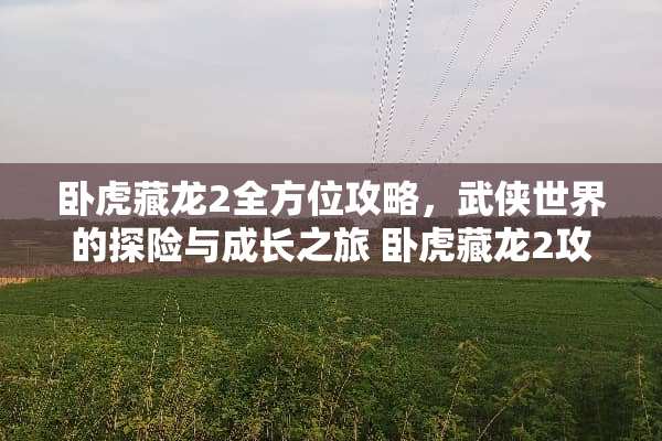 卧虎藏龙2全方位攻略，武侠世界的探险与成长之旅 卧虎藏龙2攻略