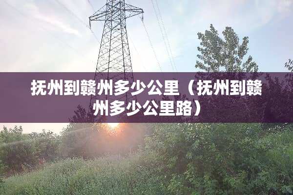 抚州到赣州多少公里（抚州到赣州多少公里路）