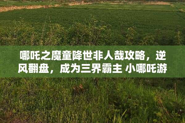 哪吒之魔童降世非人哉攻略，逆风翻盘，成为三界霸主 小哪吒游戏非人哉攻略