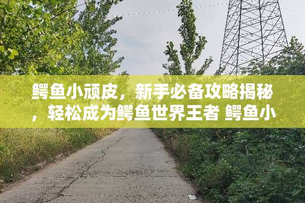鳄鱼小顽皮,新手必备攻略揭秘,轻松成为鳄鱼世界王者 鳄鱼小顽皮攻略 鳄鱼小顽皮,新手必备攻略揭秘,轻松成为鳄鱼世界王者 鳄鱼小顽皮攻略