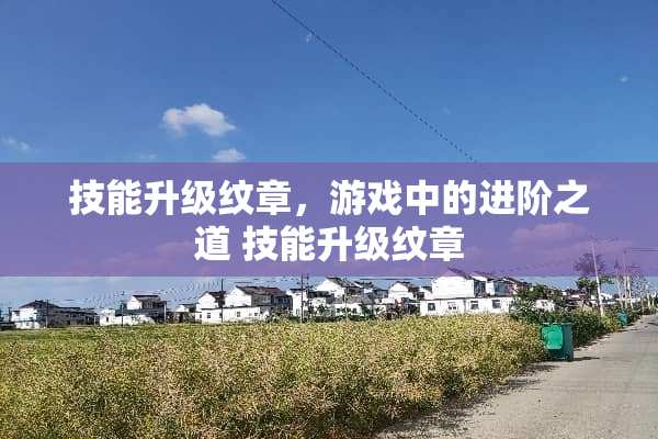 技能升级纹章,游戏中的进阶之道 技能升级纹章