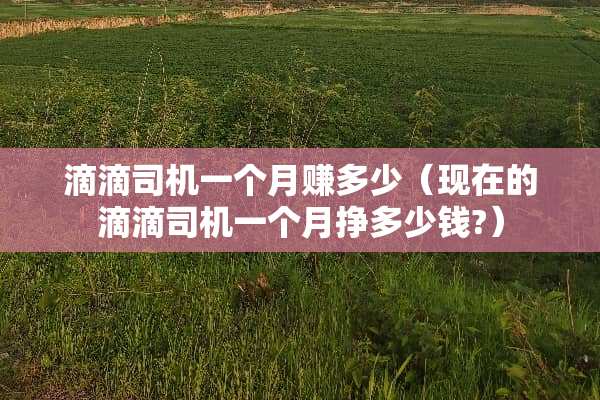 滴滴司机一个月赚多少(现在的滴滴司机一个月挣多少钱?) 滴滴司机一个月赚多少(现在的滴滴司机一个月挣多少钱?)