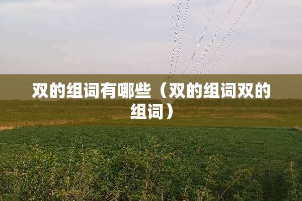 双的组词有哪些(双的组词双的组词) 双的组词有哪些(双的组词双的组词)