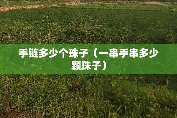 手链多少个珠子(一串手串多少颗珠子) 手链多少个珠子(一串手串多少颗珠子)