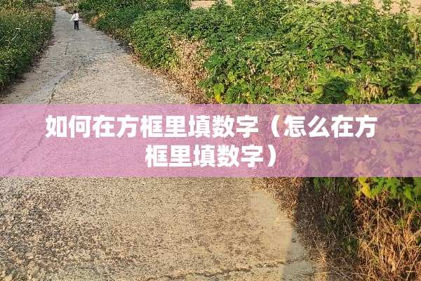 如何在方框里填数字(怎么在方框里填数字) 如何在方框里填数字(怎么在方框里填数字)