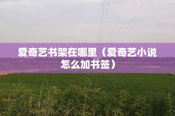 爱奇艺书架在哪里(爱奇艺小说怎么加书签) 爱奇艺书架在哪里(爱奇艺小说怎么加书签)