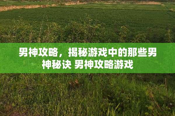 男神攻略,揭秘游戏中的那些男神秘诀 男神攻略游戏 男神攻略,揭秘游戏中的那些男神秘诀 男神攻略游戏