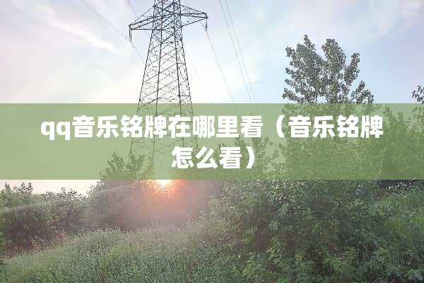 qq音乐铭牌在哪里看(音乐铭牌怎么看) qq音乐铭牌在哪里看(音乐铭牌怎么看)