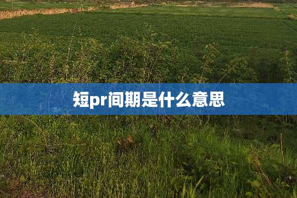 短pr间期是什么意思