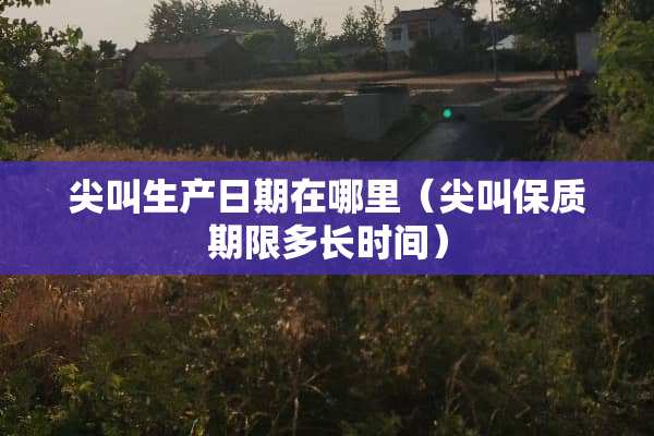 尖叫生产日期在哪里(尖叫保质期限多长时间) 尖叫生产日期在哪里(尖叫保质期限多长时间)