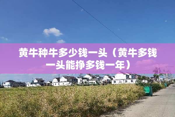 黄牛种牛多少钱一头(黄牛多钱一头能挣多钱一年) 黄牛种牛多少钱一头(黄牛多钱一头能挣多钱一年)