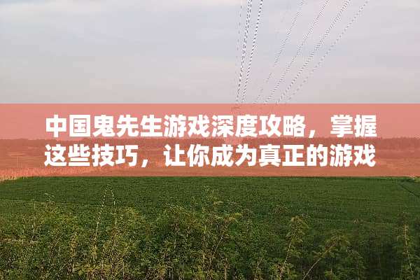 中国鬼先生游戏深度攻略,掌握这些技巧,让你成为真正的游戏高手! 中国鬼先生游戏攻略 中国鬼先生游戏深度攻略,掌握这些技巧,让你成为真正的游戏高手! 中国鬼先生游戏攻略
