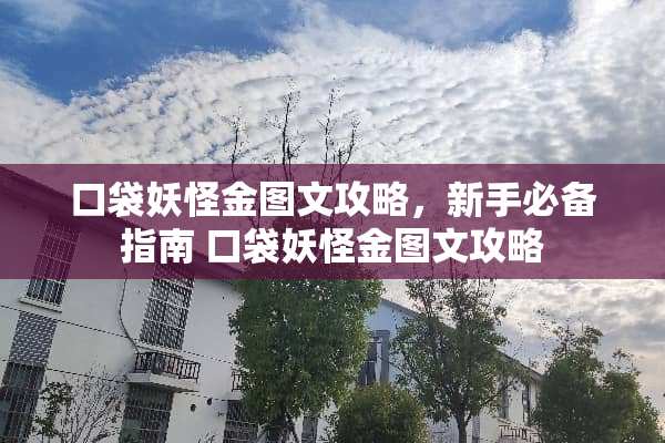 口袋妖怪金图文攻略,新手必备指南 口袋妖怪金图文攻略 口袋妖怪金图文攻略,新手必备指南 口袋妖怪金图文攻略