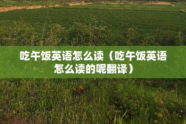 吃午饭英语怎么读(吃午饭英语怎么读的呢翻译) 吃午饭英语怎么读(吃午饭英语怎么读的呢翻译)