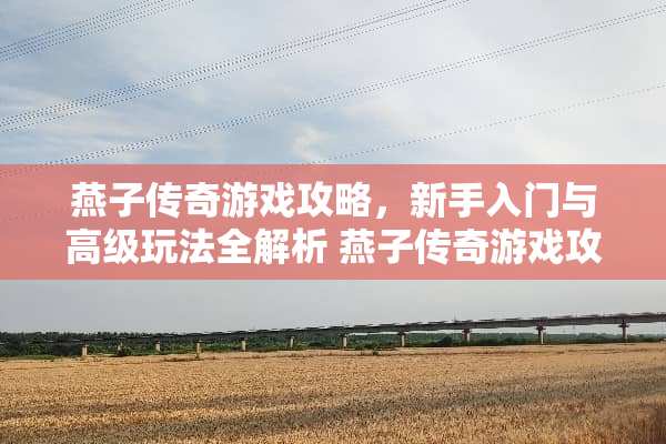 燕子传奇游戏攻略,新手入门与高级玩法全解析 燕子传奇游戏攻略 燕子传奇游戏攻略,新手入门与高级玩法全解析 燕子传奇游戏攻略