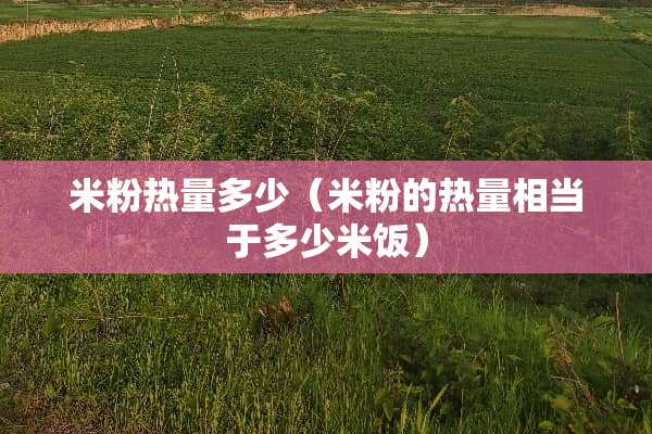 米粉热量多少(米粉的热量相当于多少米饭) 米粉热量多少(米粉的热量相当于多少米饭)