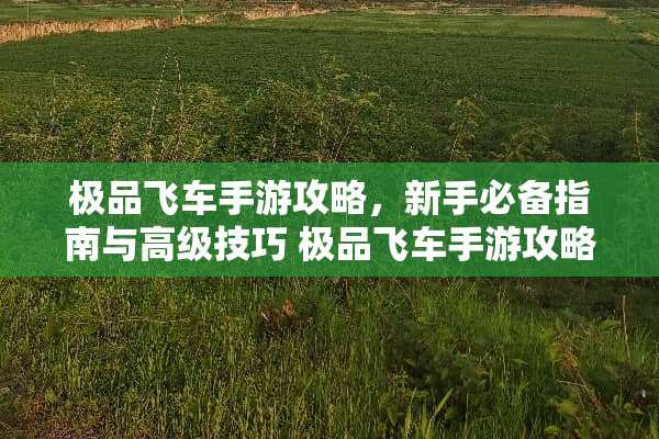 极品飞车手游攻略，新手必备指南与高级技巧 极品飞车手游攻略