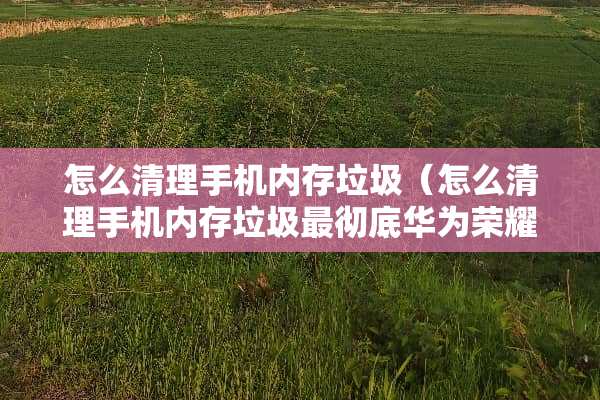 怎么清理手机内存垃圾(怎么清理手机内存垃圾最彻底华为荣耀30s) 怎么清理手机内存垃圾(怎么清理手机内存垃圾最彻底华为荣耀30s)