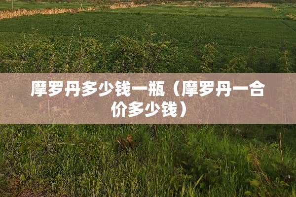 摩罗丹多少钱一瓶(摩罗丹一合价多少钱) 摩罗丹多少钱一瓶(摩罗丹一合价多少钱)