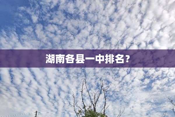 湖南各县一中排名？