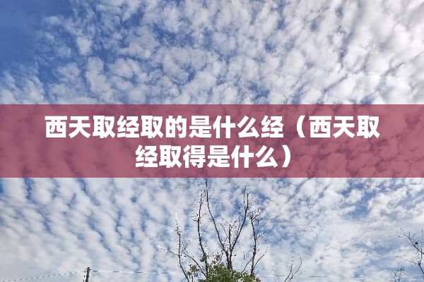 西天取经取的是什么经(西天取经取得是什么) 西天取经取的是什么经(西天取经取得是什么)