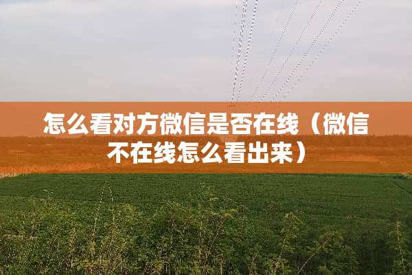 怎么看对方微信是否在线(微信不在线怎么看出来) 怎么看对方微信是否在线(微信不在线怎么看出来)