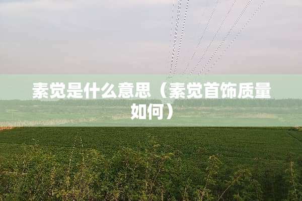 素觉是什么意思(素觉首饰质量如何) 素觉是什么意思(素觉首饰质量如何)