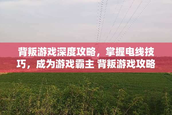 背叛游戏深度攻略,掌握电线技巧,成为游戏霸主 背叛游戏攻略电线 背叛游戏深度攻略,掌握电线技巧,成为游戏霸主 背叛游戏攻略电线