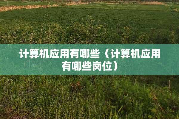 计算机应用有哪些(计算机应用有哪些岗位) 计算机应用有哪些(计算机应用有哪些岗位)