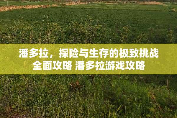 潘多拉,探险与生存的极致挑战全面攻略 潘多拉游戏攻略 潘多拉,探险与生存的极致挑战全面攻略 潘多拉游戏攻略