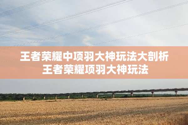 王者荣耀中项羽大神玩法大剖析 王者荣耀项羽大神玩法 王者荣耀中项羽大神玩法大剖析 王者荣耀项羽大神玩法