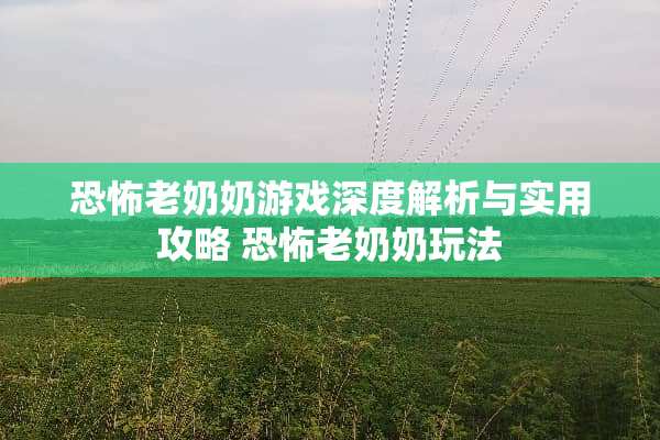 恐怖老奶奶游戏深度解析与实用攻略 恐怖老奶奶玩法 恐怖老奶奶游戏深度解析与实用攻略 恐怖老奶奶玩法