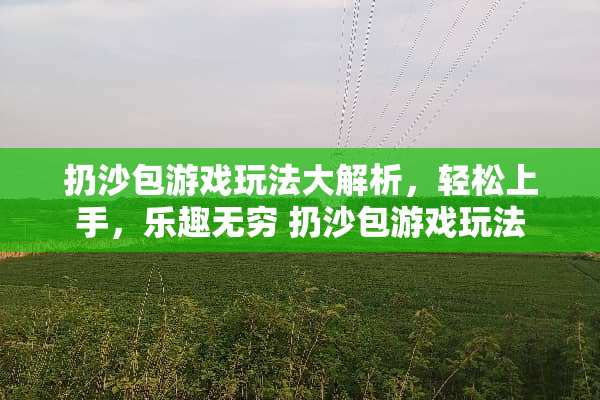 扔沙包游戏玩法大解析,轻松上手,乐趣无穷 扔沙包游戏玩法 扔沙包游戏玩法大解析,轻松上手,乐趣无穷 扔沙包游戏玩法