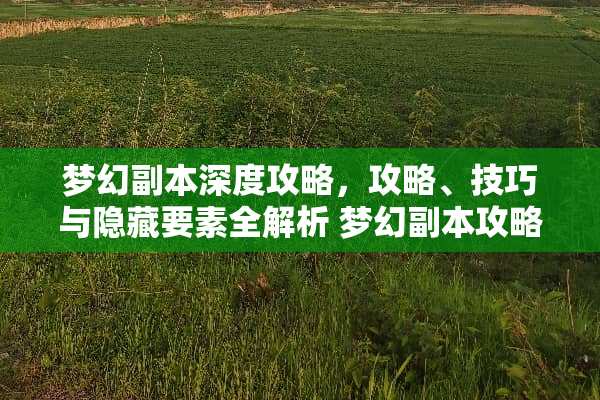 梦幻副本深度攻略,攻略、技巧与隐藏要素全解析 梦幻副本攻略 梦幻副本深度攻略,攻略、技巧与隐藏要素全解析 梦幻副本攻略