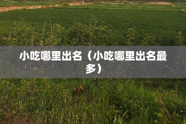 小吃哪里出名(小吃哪里出名最多) 小吃哪里出名(小吃哪里出名最多)