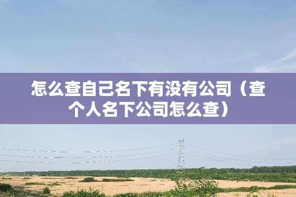 怎么查自己名下有没有公司(查个人名下公司怎么查) 怎么查自己名下有没有公司(查个人名下公司怎么查)