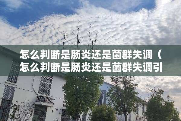 怎么判断是肠炎还是菌群失调(怎么判断是肠炎还是菌群失调引起的) 怎么判断是肠炎还是菌群失调(怎么判断是肠炎还是菌群失调引起的)