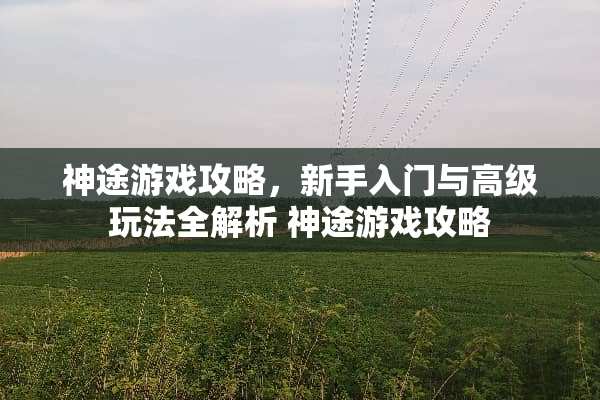 神途游戏攻略,新手入门与高级玩法全解析 神途游戏攻略 神途游戏攻略,新手入门与高级玩法全解析 神途游戏攻略