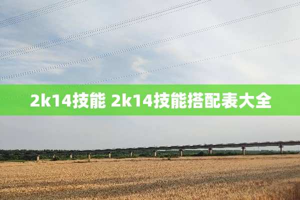 2k14技能 2k14技能搭配表大全 2k14技能 2k14技能搭配表大全