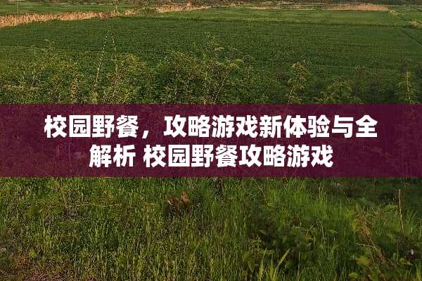 校园野餐,攻略游戏新体验与全解析 校园野餐攻略游戏 校园野餐,攻略游戏新体验与全解析 校园野餐攻略游戏