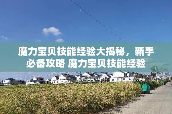 魔力宝贝技能经验大揭秘,新手必备攻略 魔力宝贝技能经验 魔力宝贝技能经验大揭秘,新手必备攻略 魔力宝贝技能经验