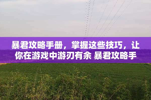 暴君攻略手册,掌握这些技巧,让你在游戏中游刃有余 暴君攻略手册 暴君攻略手册,掌握这些技巧,让你在游戏中游刃有余 暴君攻略手册