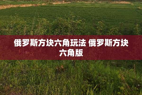 俄罗斯方块六角玩法 俄罗斯方块六角版 俄罗斯方块六角玩法 俄罗斯方块六角版