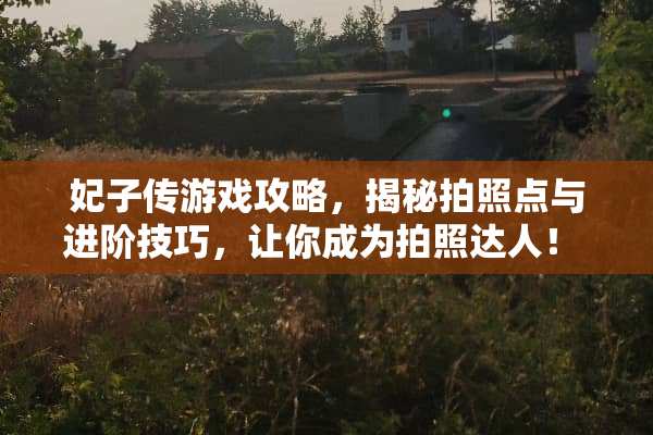 妃子传游戏攻略,揭秘拍照点与进阶技巧,让你成为拍照达人! 妃子游戏攻略照片 妃子传游戏攻略,揭秘拍照点与进阶技巧,让你成为拍照达人! 妃子游戏攻略照片